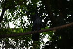 DSC_9143.JPG